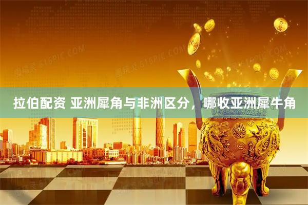 拉伯配资 亚洲犀角与非洲区分，哪收亚洲犀牛角