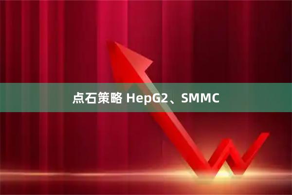 点石策略 HepG2、SMMC